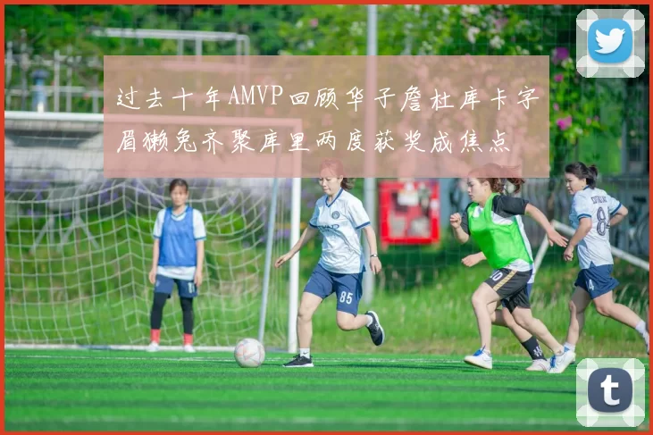 过去十年AMVP回顾华子詹杜库卡字眉獭兔齐聚库里两度获奖成焦点