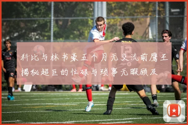 科比与林书豪五个月无交流前鹰王揭秘超巨的忙碌与琐事无暇顾及