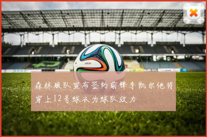森林狼队宣布签约前锋李凯尔他将穿上12号球衣为球队效力